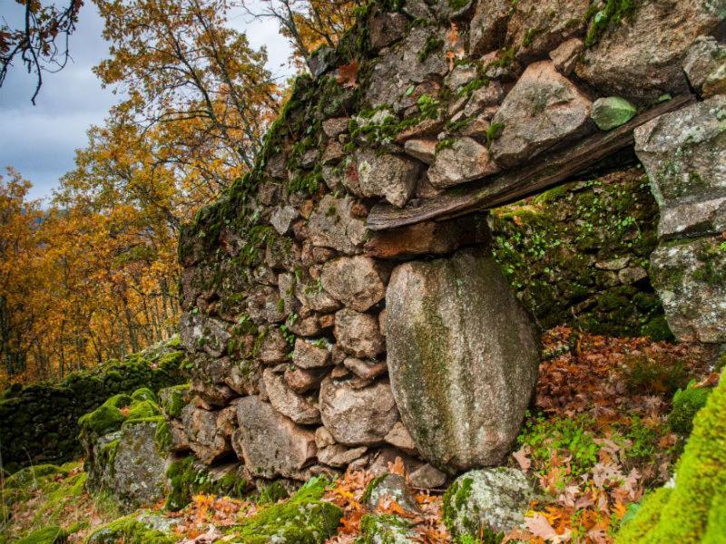 Landhaus Picaza Del Jerte *